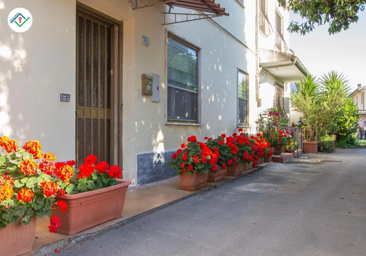 Le Dune Apartment Migliarino Pisano